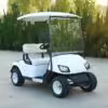 Golf Carts Electric Golf Carts