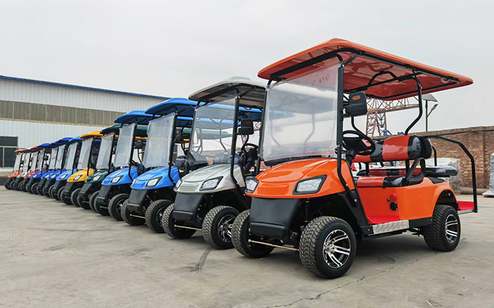 Electric Golf Cart Batteries