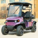 Two Person Electric Golf Cart