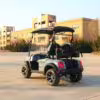 D2-zhutu-3 Longshengtai Machinery