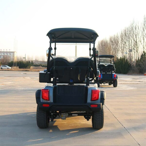 D2-zhutu-4 Longshengtai Machinery