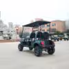 D4zhutu-5 Longshengtai Machinery