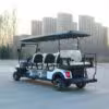 D6+2zhutu-3 electric golf cart
