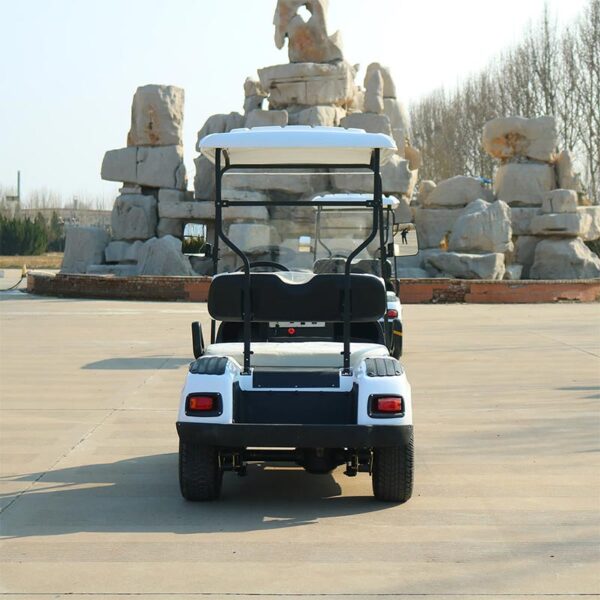 FD005A-2-1 Longshengtai Machinery