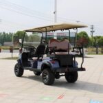 VY-B4+2-3 electric golf cart