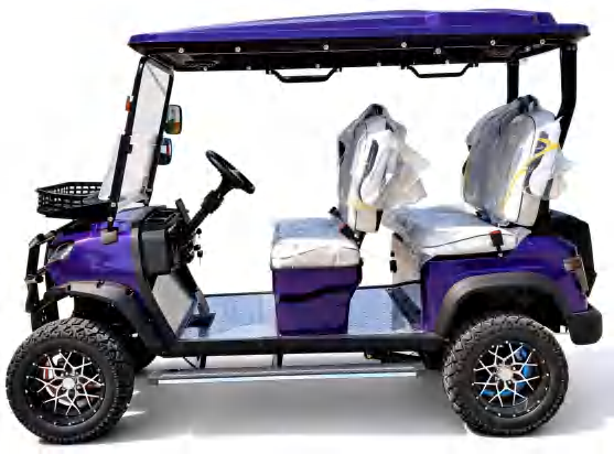 E Type Electric Golf Cart