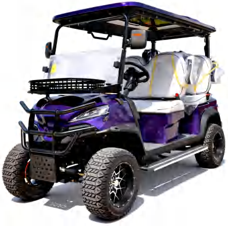E Type Electric Golf Cart