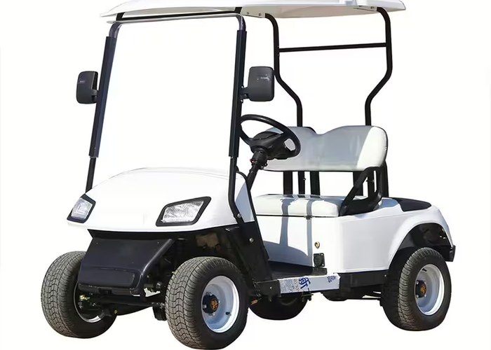 electric golf cart buyer checking supplier support and handover details