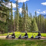 gasoline golf carts vs electric golf carts
