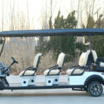 D type electric golf cart prepared for premium resort and club transport