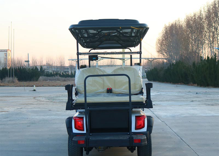 D type electric golf cart side profile for community route planning