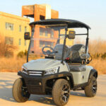 D type electric golf cart prepared for a VIP transfer or property tour route