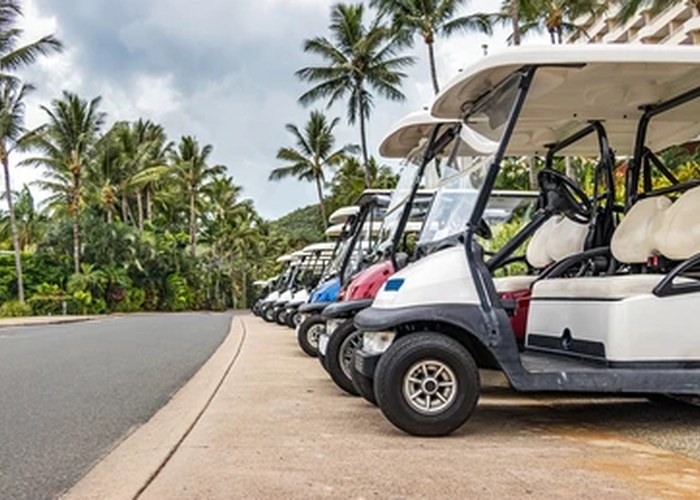 hotel and resort electric golf cart fleet operations