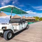 resort electric golf carts