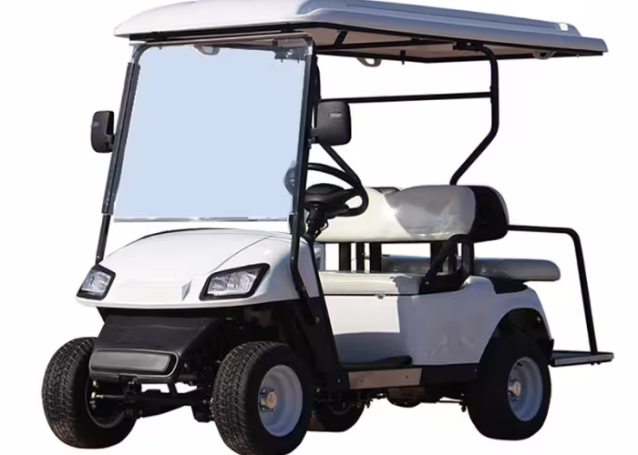 electric golf cart lineup prepared for a wholesale order review and fleet mix planning